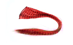 Grizzly hair - Crimson Red