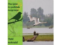 Fågelsång utan bakgrundsmusik Fåglar i våtmarker CD - 240341