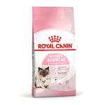 Royal Canin Mother & BabyCat