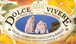 Nesti Dante Dolce Vivere Capri Soap 250g