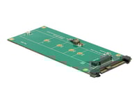 Delock Converter U.2 Sff-8639 Nvme > 1 X M.2 Key M - Gränssnittsadapter - M.2 - M.2 Card - U.2