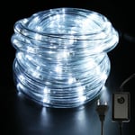 SWANEW Tube Lumineux Extérieur LED Guirlande Lumineuse Décoration et Adapteur d’alimentation Blanc froid-20M