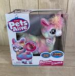 NEW Pets Alive - Bonnie The Booty Shakin Llama Electronic Pet Toy - Damaged Box