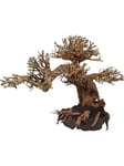 Tree roots Peaceful Bonsai 30x15x23 cm