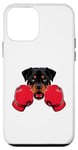 Coque pour iPhone 12 mini Chien rottweiler amusant kickboxing ou boxe
