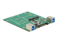 Delock Converter Sata / Usb 3.1 Typ B-Uttag&Gt  M.2 / Msata-Kortplats - Lagringsenhet - Msata, M.2 - M.2-Kort / Msata - Sata 3Gb/S, Usb 3.1 (Gen 2)