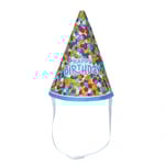 BUILD-A-BEAR BIRHTDAY festhatt