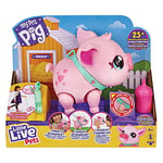 Little Live Pets LPW00000 Mon petit cochon animal interactif qui marche, mange et danse