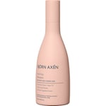Björn Axen Anti-Frizz Shampoo 250 ml