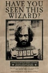 Harry Potter-affisch Wanted