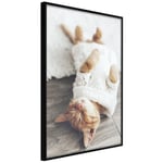 Plakat - Lazy Cat - 20 x 30 cm - Sort ramme