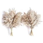 20 st Naturligt Torkat Pampasgräs, Fluffigt Pompas Blommor, Boho Dekoration Blommor Lämpliga För Utomhusbröllop