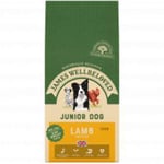 James Wellbeloved Dog Lamb and Rice Junior Large Breed (15kg)