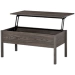 Modern Lift Top Coffee Table with Hidden Storage Floating Desk