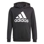 Adidas Boys Big Logo Hoody Kids huvtröja Black/white 164 - Fri frakt