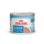 Royal Canin Starter Mother & Babydog Ultra Soft Mousse 12 x 195 g Mother & Babydog