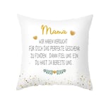 jieGorge To The Elder Sofa Bed Home Pillow Case Cushion Cover Filling Inner, Pillow Case for Easter Day (D)