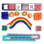 Sensory Toys Set,22 pcs Fidget Toys for Kids and Adults, Relieves Stress and Anxiety Fidget Toy, Special Toys Assortment for Birthday Party Favors