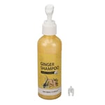 100ml Ginger Hair Regrowth Shampoo Dandruff Removal Itching Relief Deep SG5