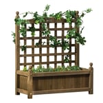 Raised Garden Bed with Trellis Garden Planters Indoor Outdoor