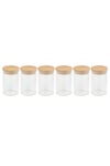 Borosilicate Glass Set of 6 Spice Jars