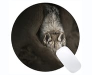 Round Gaming Mouse pad,Stare Wildlife Predator Wolf Mouse Pads for Computers Laptop 230mm x 230mm x 3mm)