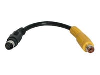 StarTech.com 6in S-Video to Composite Video Adapter Cable - Adaptateur vidéo - S-Vidéo / vidéo composite - 4 broches mini-din mâle pour RCA femelle - 15 cm