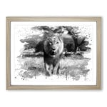 Lion No.1 V3 Modern Framed Wall Art Print, Ready to Hang Picture for Living Room Bedroom Home Office Décor, Oak A4 (34 x 25 cm)