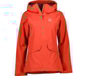 Husk W skaljacka Dam Corrosion XS