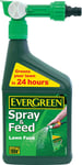 2X EverGreen Spray and Feed Lawn Food Spray, 1 L