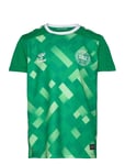 Dbu 24 Gk Jersey S/S Kids Tops T-shirts Football Shirts Green Hummel