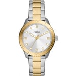 Fossil Ladies Dayle Watch BQ3888