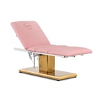 physa Behandlingsbänk - elektrisk 3 motorer 300 W 190 x 65 60 76 cm 200 kg Rosa / guld