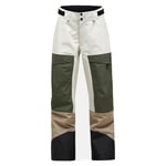 Peak Performance Gravity GORE-TEX 3L Pants Dam