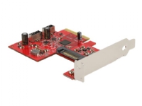 Delock - USB-adapter - PCIe 3.0 x4 - USB 3.2 Gen 2 (internal) x 2
