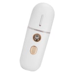 USB Charging Face Mist Sprayer Moisturizing Portable Face Humidifier Nano UK REL