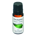 Amour Natural Eucalyptus Pure Essential Oil - 10ml