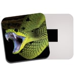 Green Tropical Snake Fridge Magnet - Viper Jungle Reptile Fangs Cool Gift #8899