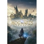 Hogwarts Legacy Plakat