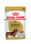 Royal Canin Dachshund Adult Wet Dog Food - 12 X 85g