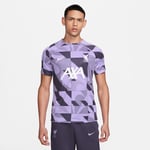 Nike Liverpool Tränings T-Shirt Dri-FIT Pre Match - Lila/Gridiron/Vit adult DZ1341-554