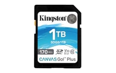 Kingston Canvas Go! Plus Carte SD 1TB SDXC 170R C10 UHS-I U3 V30