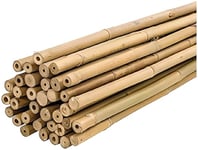 PLANTAWA Bamboo Tutors Bamboo Tutors Diameter 6-8mm Pack of 25 Agricultural Use for Fixing Plants, Vegetables and Trees (150cm)