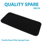 Tumble Dryer Sponge Filter HOOVER HL H8A2DE-S HL H9A2DE-S HLP H8A2TBEX-01