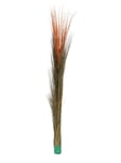 EUROPALMS Reed grass, light brown, artificial, 127cm, Europalms Vass gräs, ljusbrun, 127cm