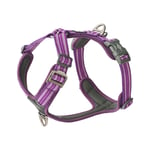 Dog Copenhagen Comfort Walk Air Harness 3.0 - Purple Passion L