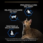 Purina Pro Plan Alimentaire pour Chat stérilisé Adulte avec Dinde, 6 Sacs de 1,5 kg