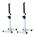 YFFSS Weights Bench, Squat Rack Adjustable Barbell Weight Benches Bench Press Home Fitness Equipment Weights (Color : White, Size : 2 * 47 * 43 * 149cm)