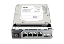 DELL-harddisk 10TB 7,2K 12G 3,5" SAS HDD (YF87J)