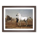 Jacques Laurent Agasse The Wellesley Grey Arabian Classic Painting Framed Wall Art Print, Ready to Hang Picture for Living Room Bedroom Home Office Décor, Walnut A3 (46 x 34 cm)
